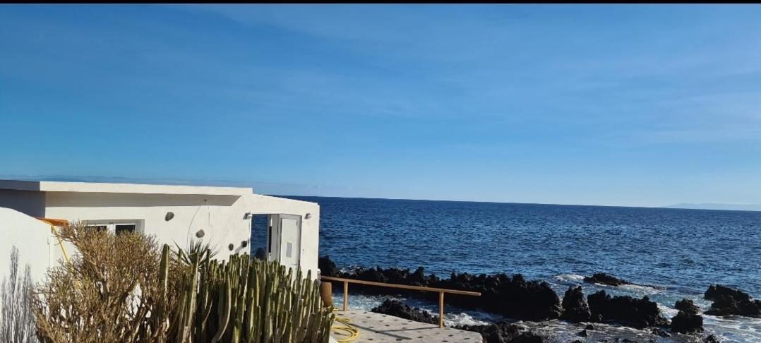 Nido De Mar - In The Sea
